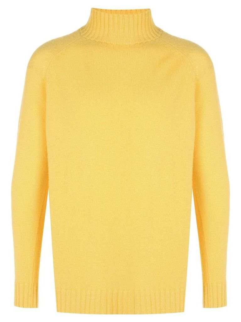 The Elder Statesman Highland Turtleneck cashmere sweater - Yellow