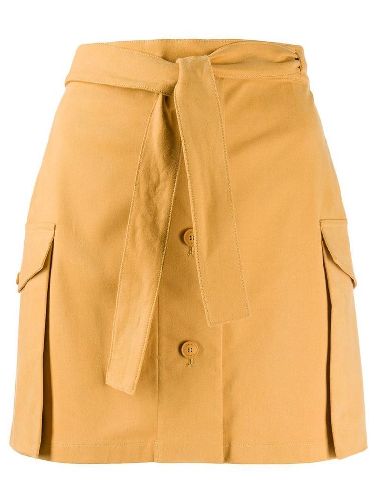 Alberta Ferretti high rise skirt - Yellow