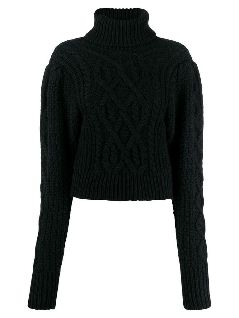 Wandering cable-knit roll neck sweater - Black