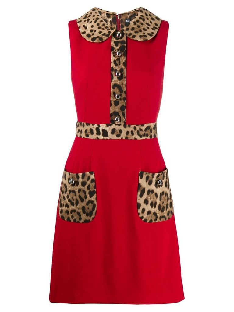 Dolce & Gabbana leopard-print trim flared dress