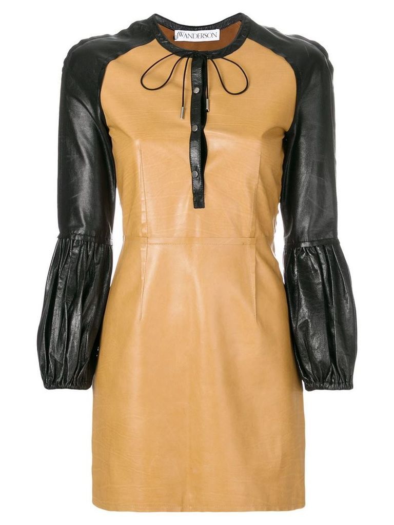 JW Anderson colour-block mini leather dress - Brown