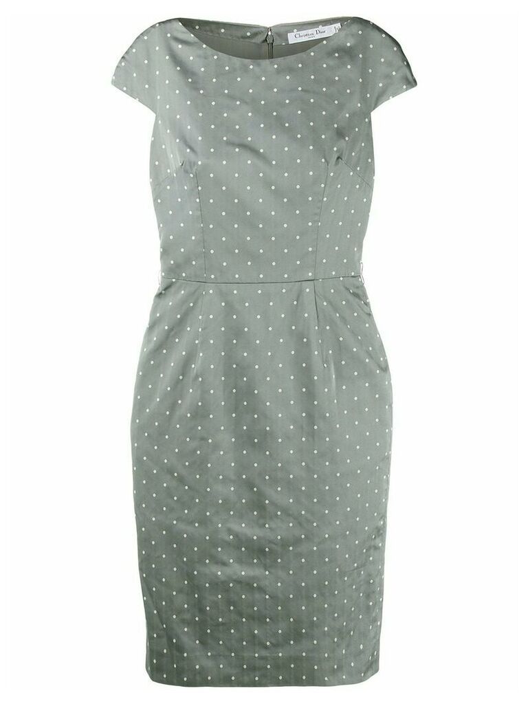 Christian Dior pre-owned polka dots fitted dress - Grey