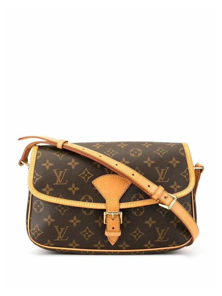 Louis Vuitton Pre-Owned Sologne shoulder bag - Brown