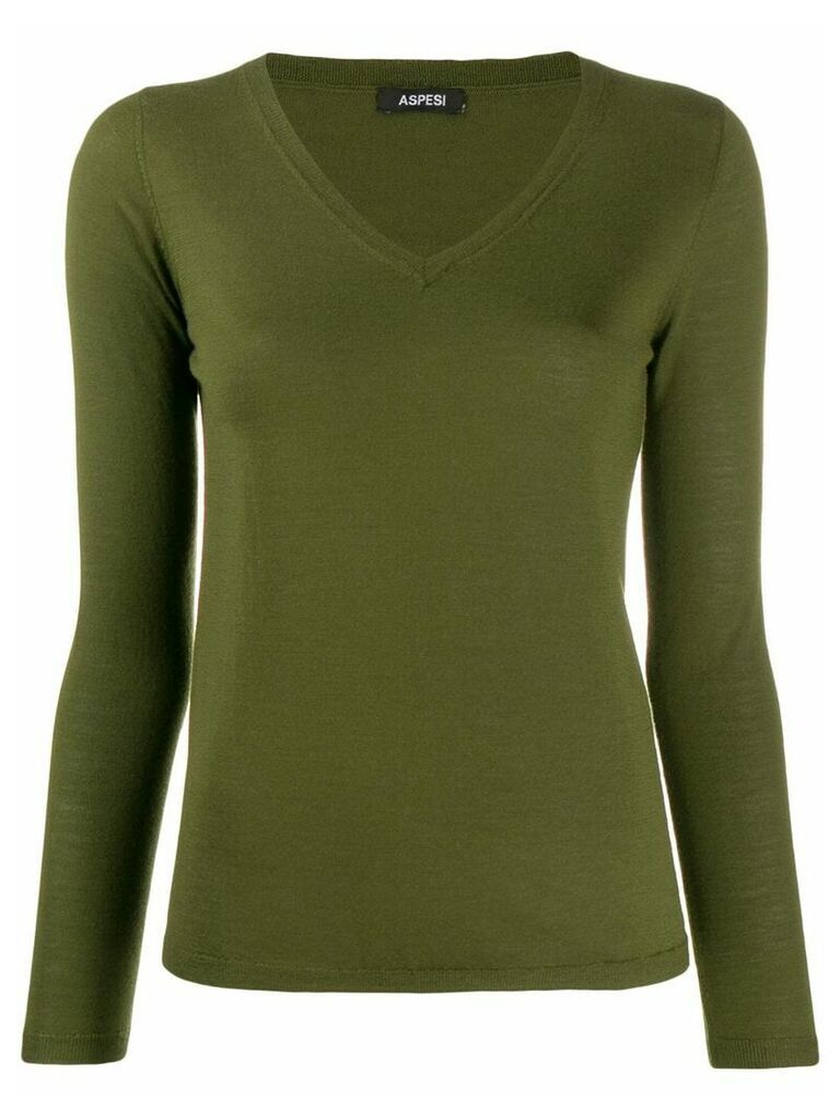 Aspesi fine knit v-neck jumper - Green