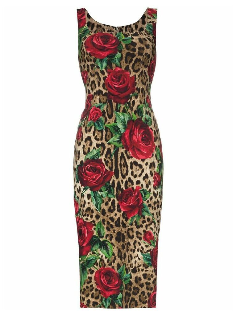 Dolce & Gabbana leopard rose print bodycon midi dress - Brown