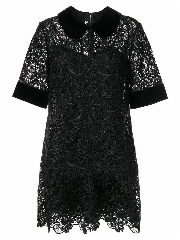 Dolce & Gabbana lace detail collared dress - Black
