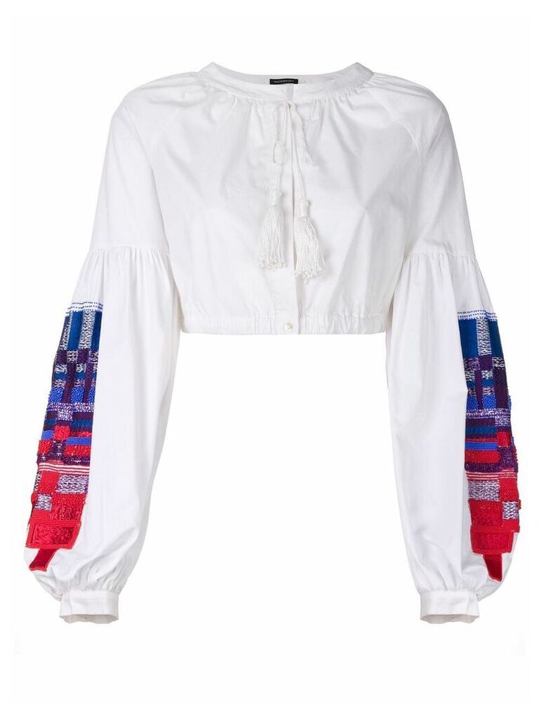 Wandering embroidered sleeves cropped blouse - White