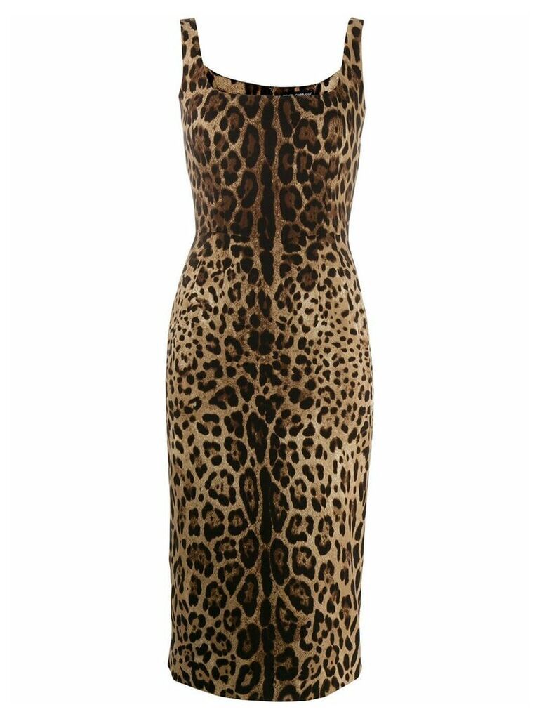 Dolce & Gabbana leopard print fitted dress - Black