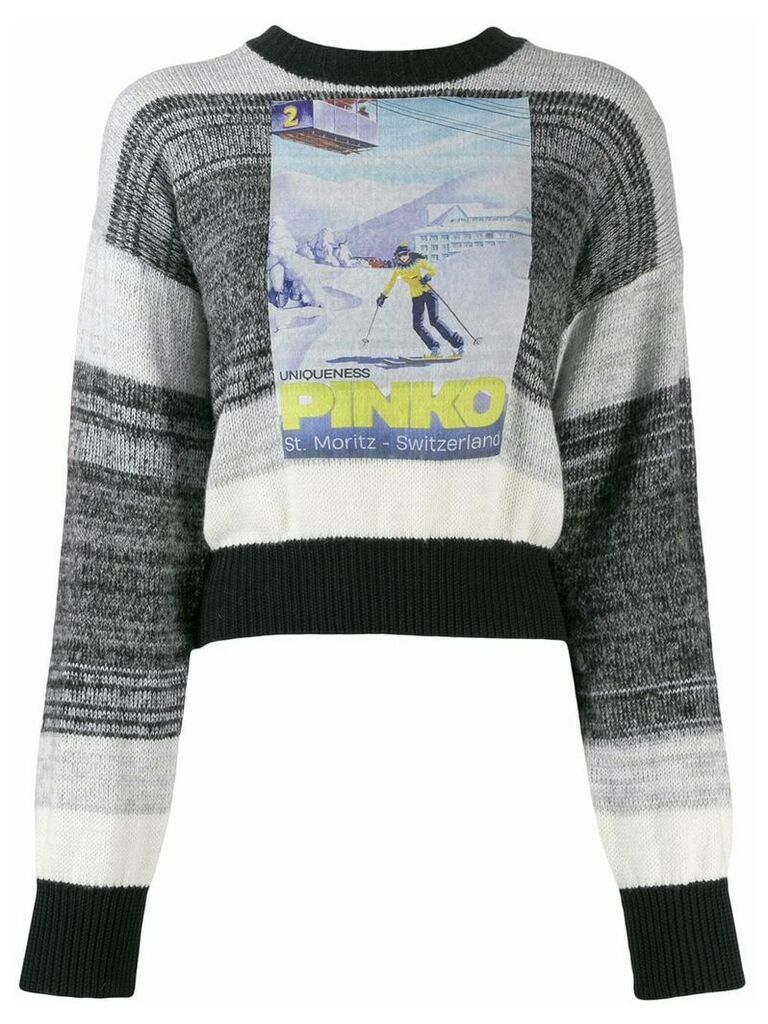 Pinko St Moritz sweater - Grey