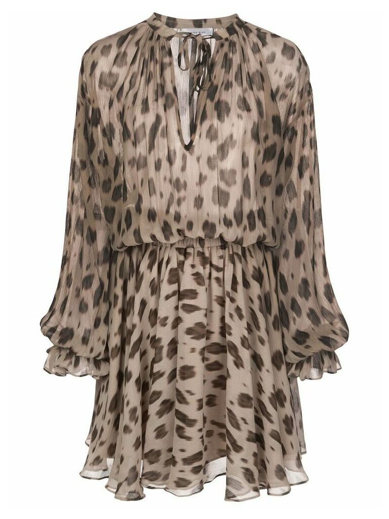 ANINE BING Elliana leopard-print silk dress - Neutrals
