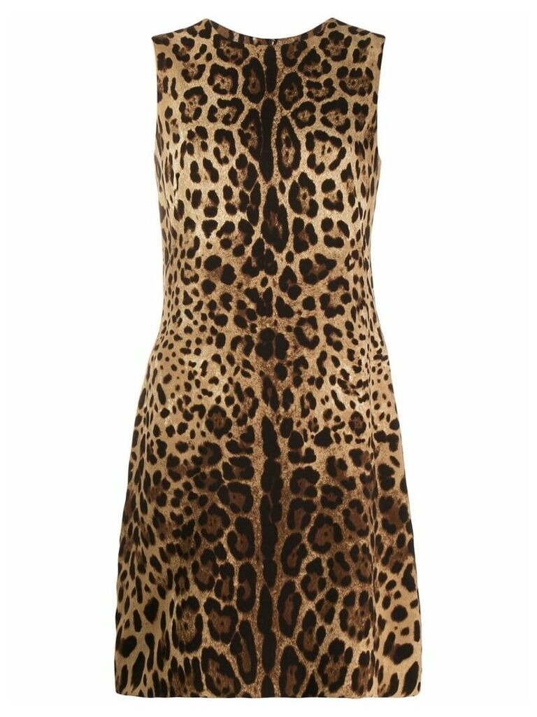 Dolce & Gabbana leopard pattern shift dress - Brown
