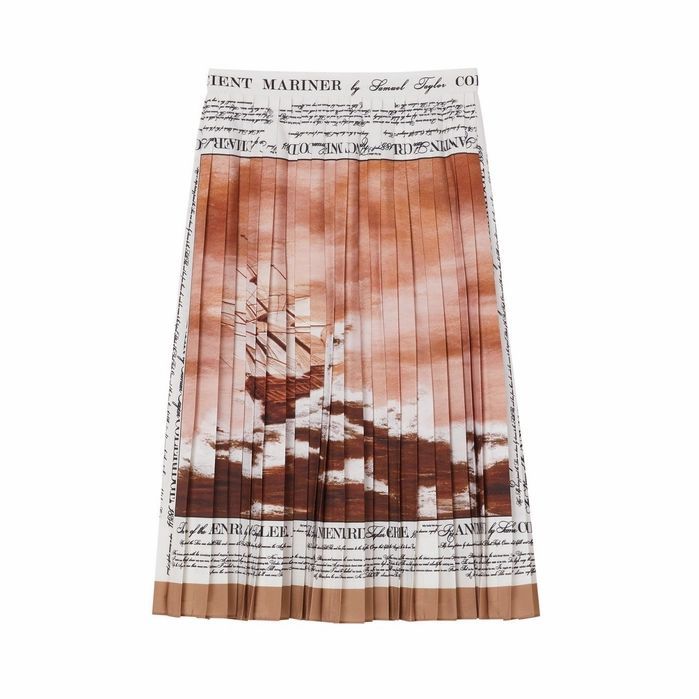 Mariner Print Pleated Cady Skirt