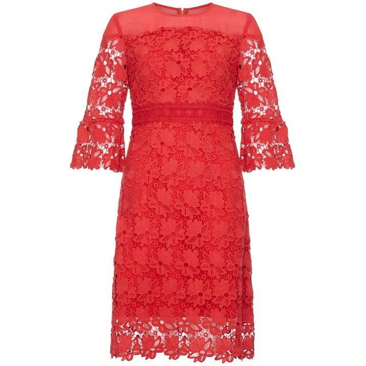 Lace Panel Dress With Flared Sleeves