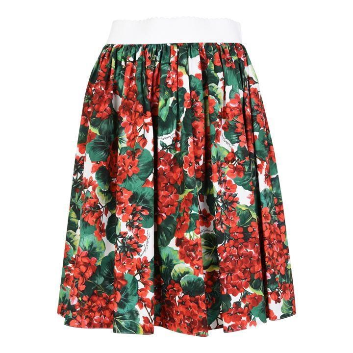 Dolce and Gabbana Portofino Skirt - Multi HAV03