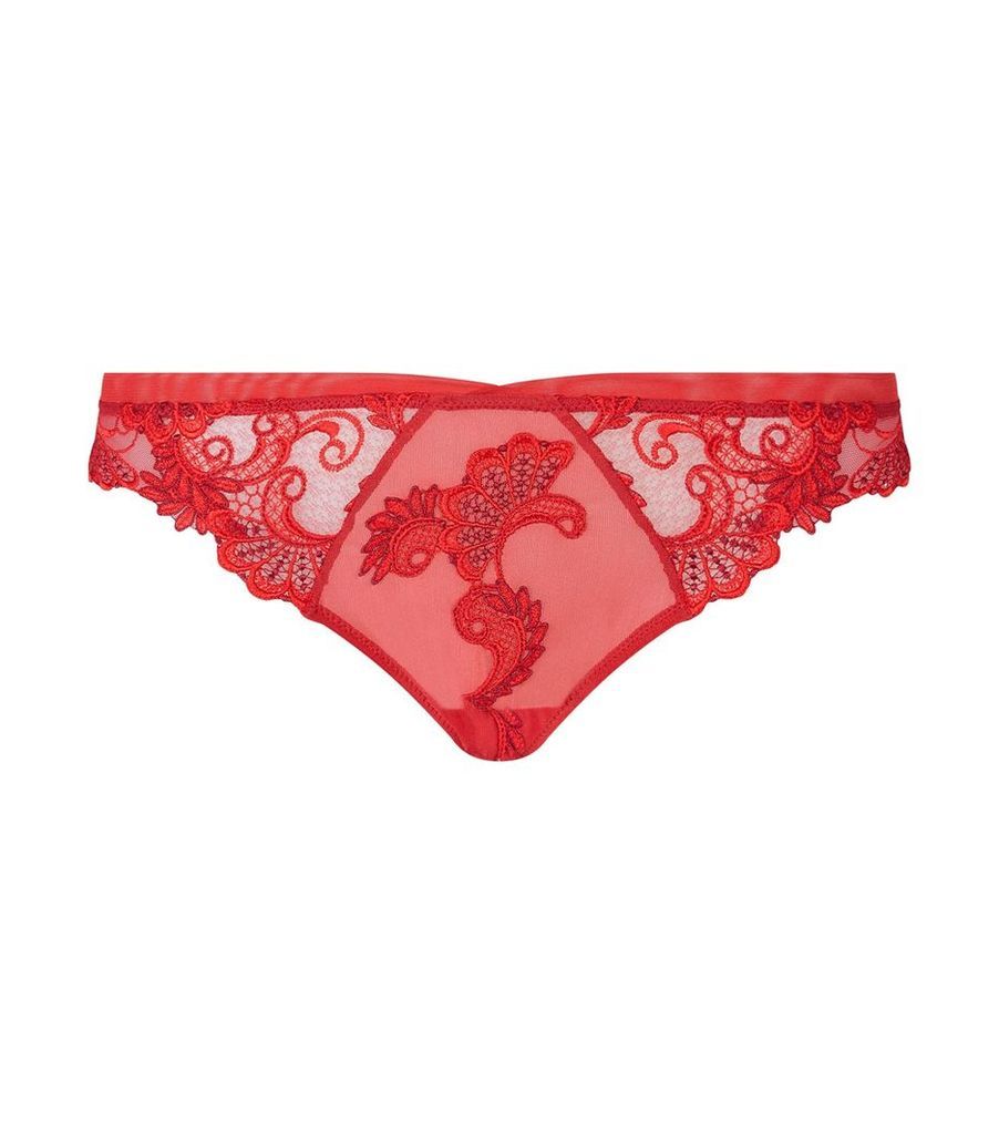 Dressing Floral Lace Thong