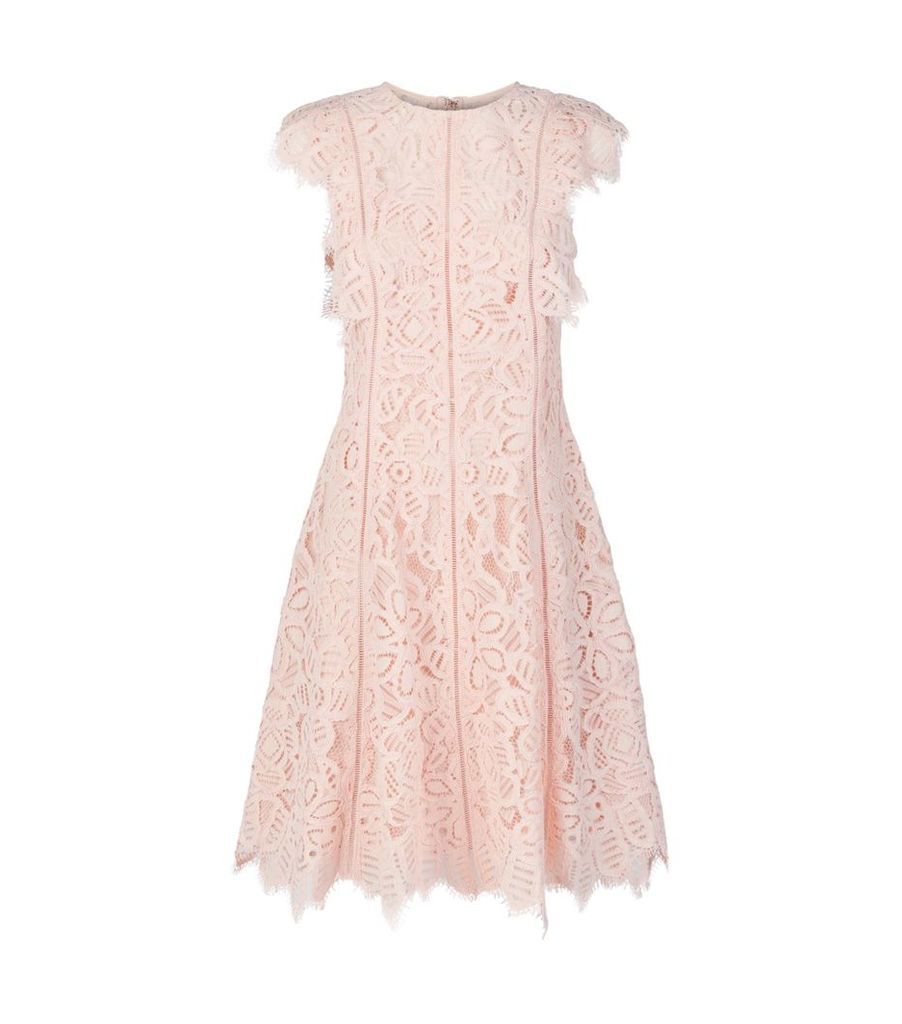 Lace Flutter-Sleeve Dress
