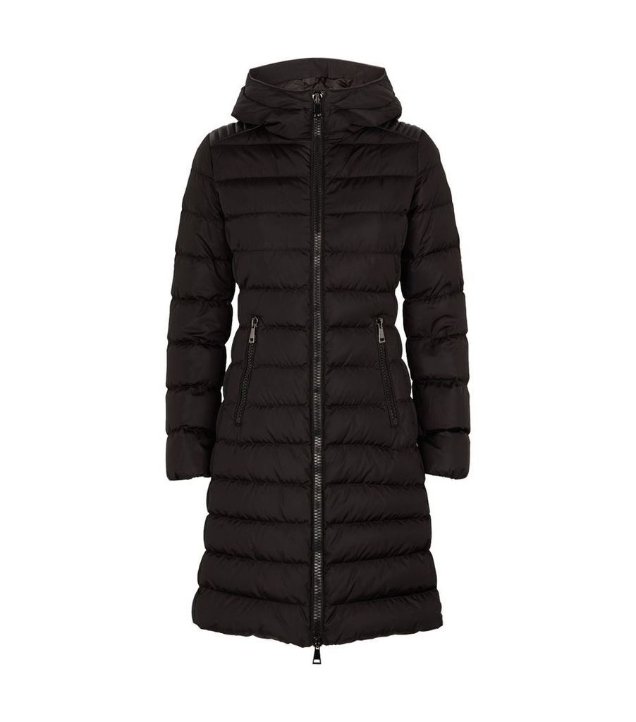 Talev Quilted Padded Jacket
