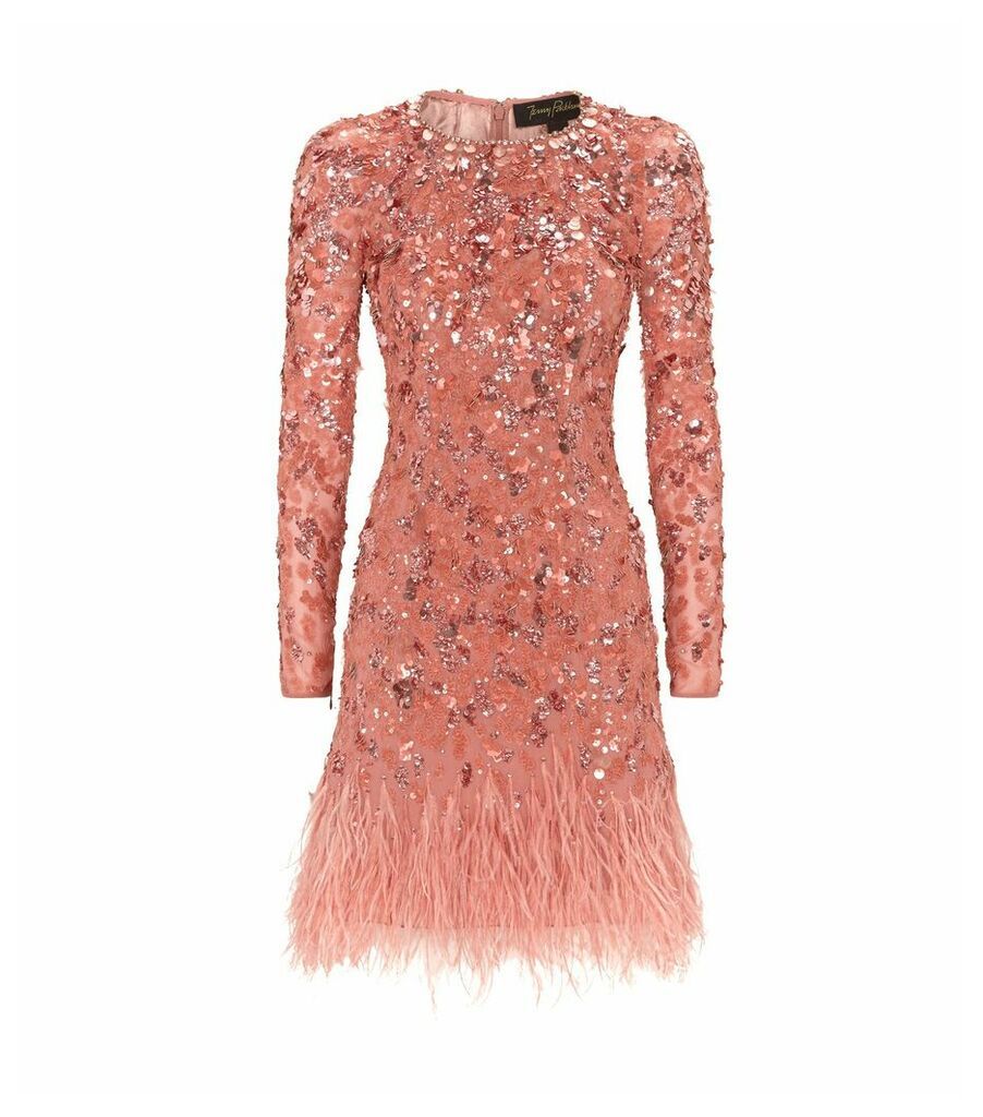 Sequin and Feather Anais Mini Dress