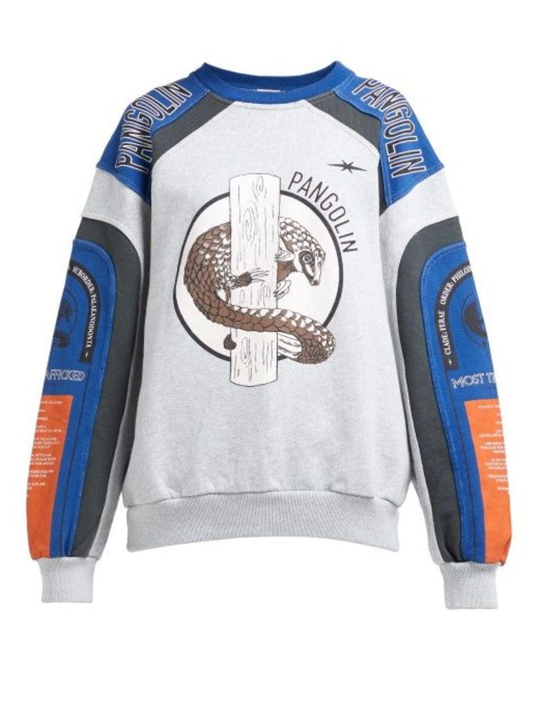 Phipps - Pangolin Organic Cotton Motocross Sweatshirt - Womens - Grey Multi