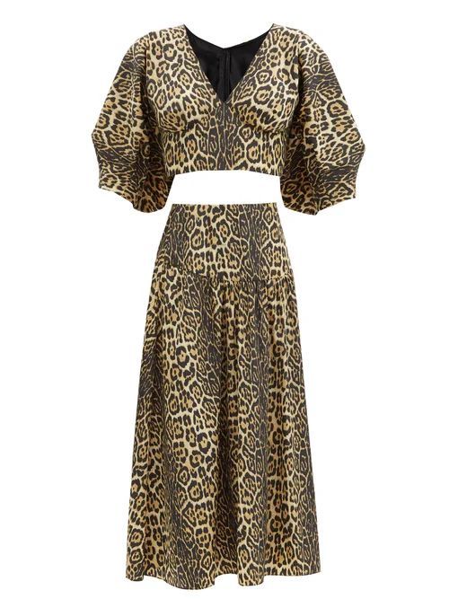 Gilda Leopard-print Two-piece Crop Top & Skirt - Womens - Animal