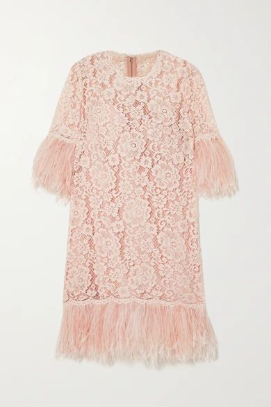Feather-trimmed Cotton-blend Guipure Lace Mini Dress - Pink