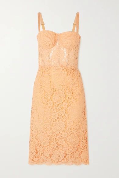 Cotton-blend Corded Lace Midi Dress - Coral