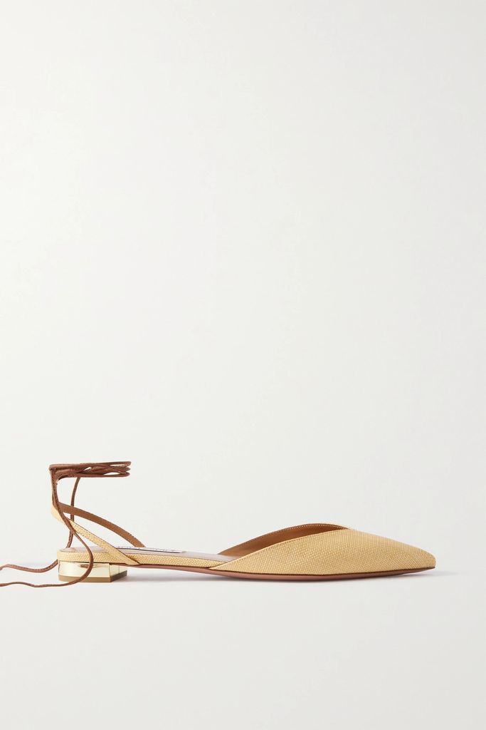 Beyond Leather-trimmed Woven Raffia Point-toe Flats - Neutral