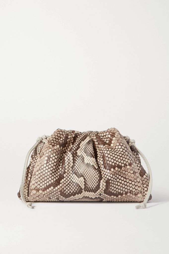The Pouch Small Leather-trimmed Python Clutch - Brown