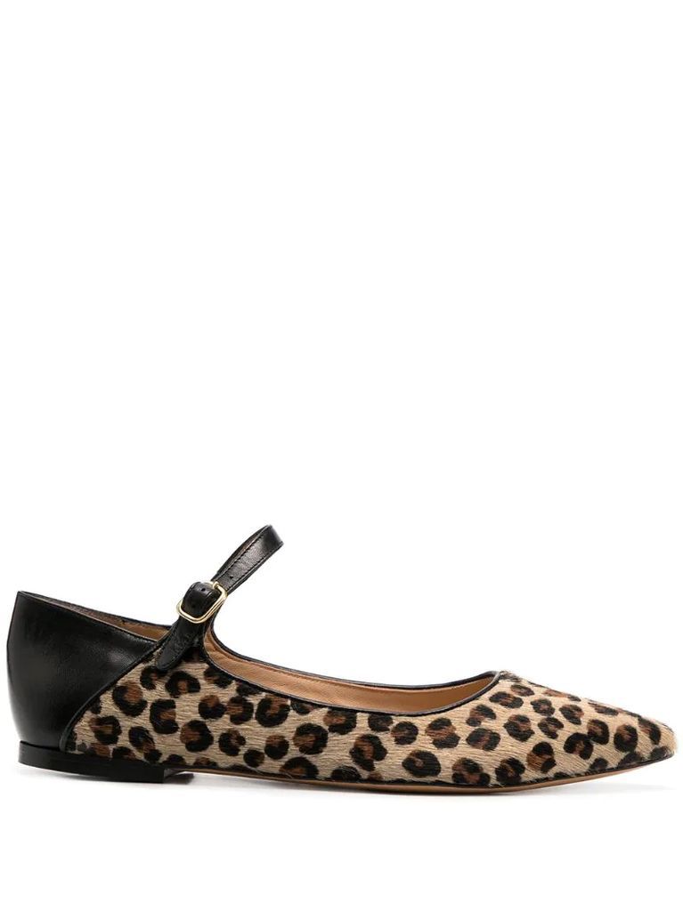 Shanty leopard ballerina shoes