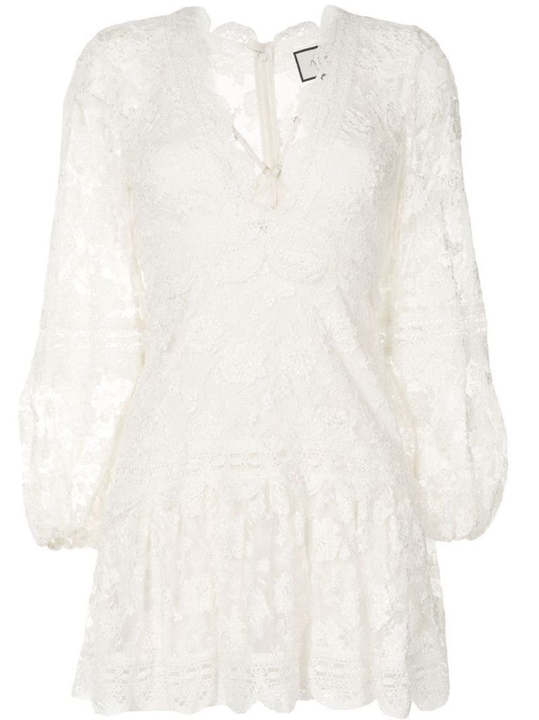 embroidered sheer sleeve dress