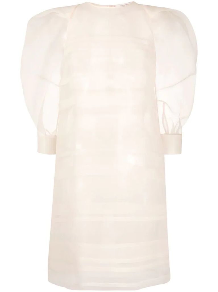 Translucent Romance puff-sleeve dress