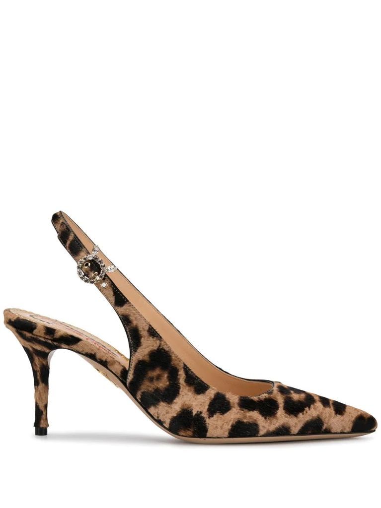 pointed leopard print pumps