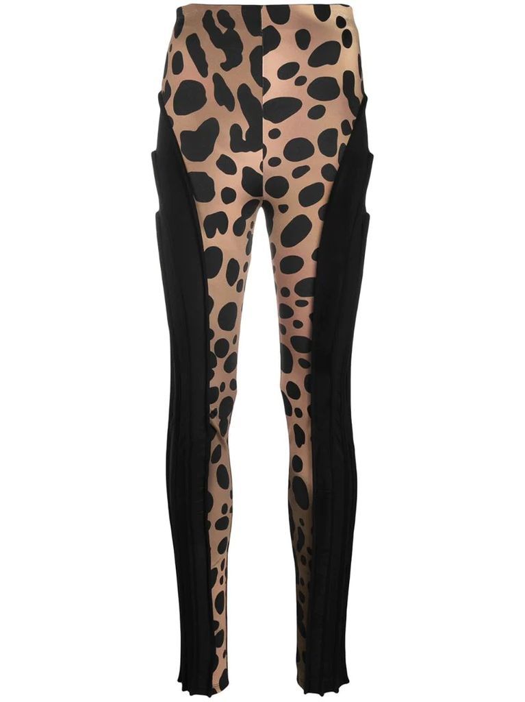 leopard print contrast leggings