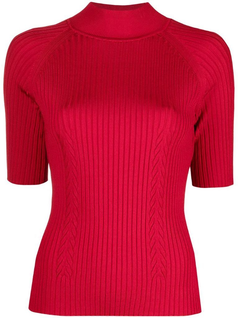 ribbed turtle-neck jumper