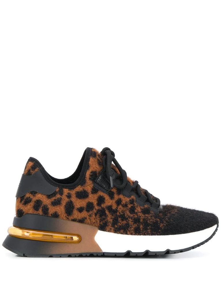 Krush leopard sneakers