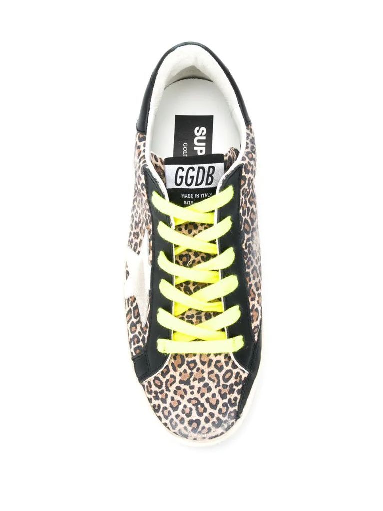 Superstar leopard-print sneakers