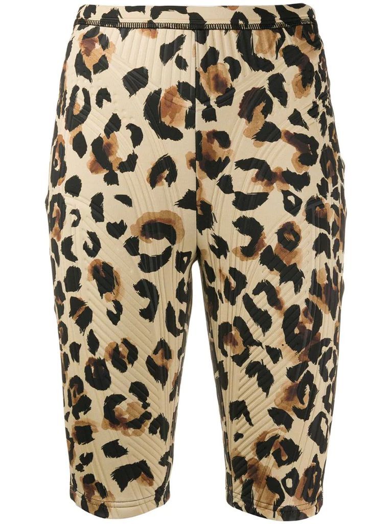 leopard print shorts