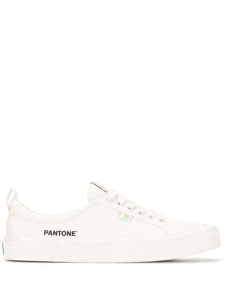 Pantone sneakers
