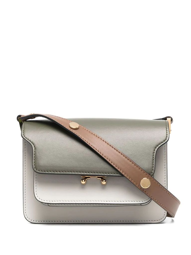 mini Trunk crossbody bag