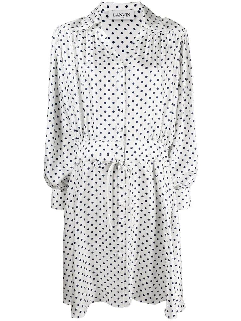 polka dot print silk shirtdress