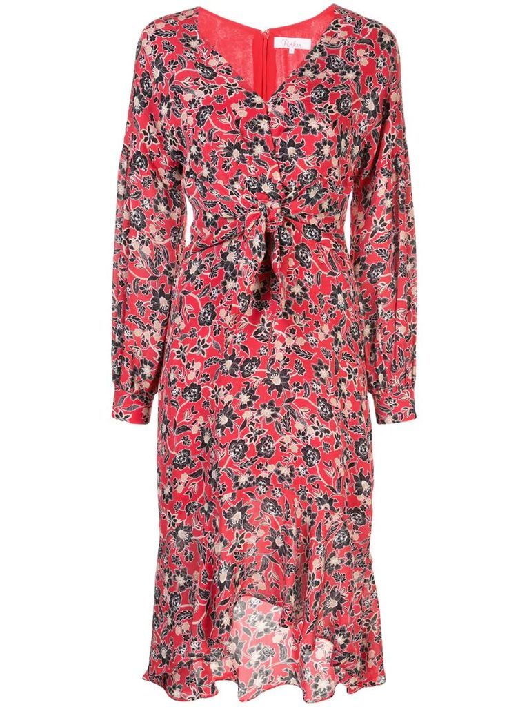 Kinsale floral print dress