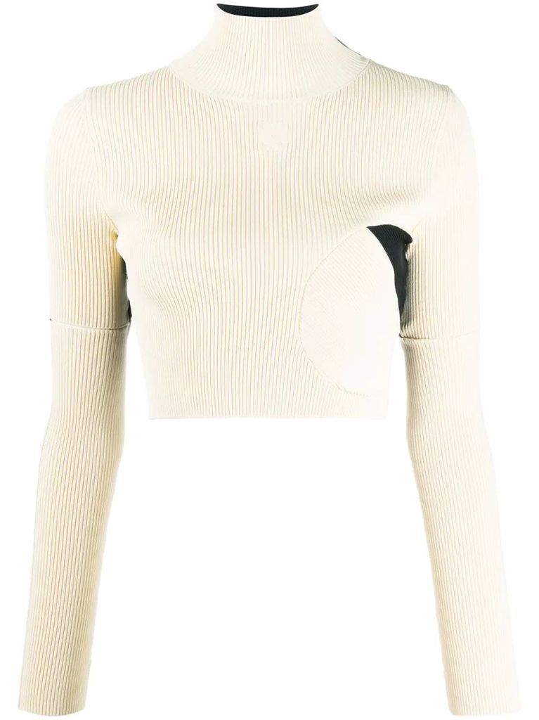 ribbed knitted cropped top