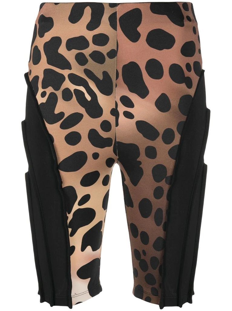 leopard-print panelled cycling shorts