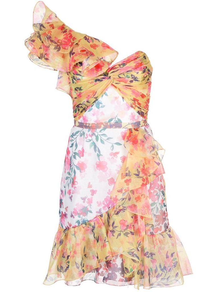 floral print ruffled dress