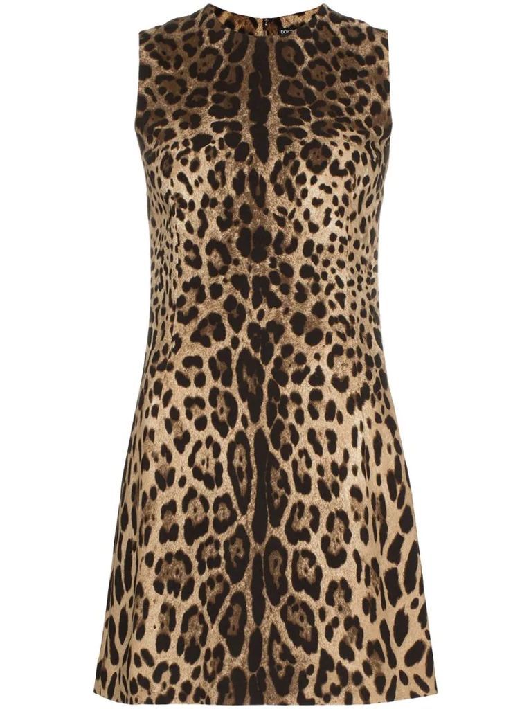 leopard shift mini dress