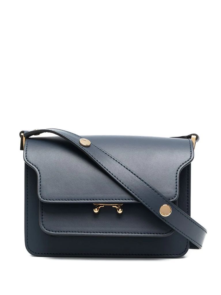 mini Trunk crossbody bag