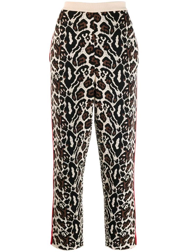 animal-jacquard knitted trousers