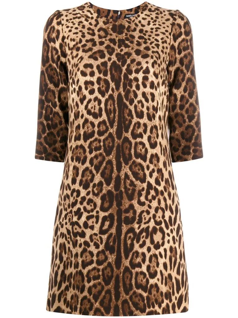 leopard print mini shift dress
