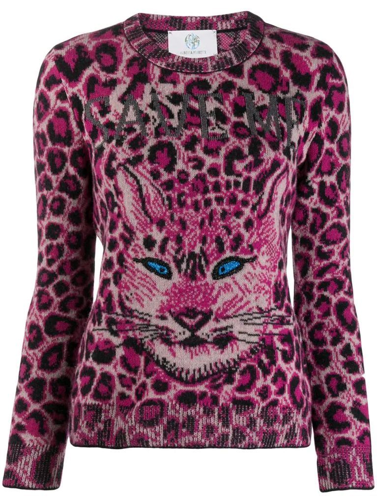 cat print jumper