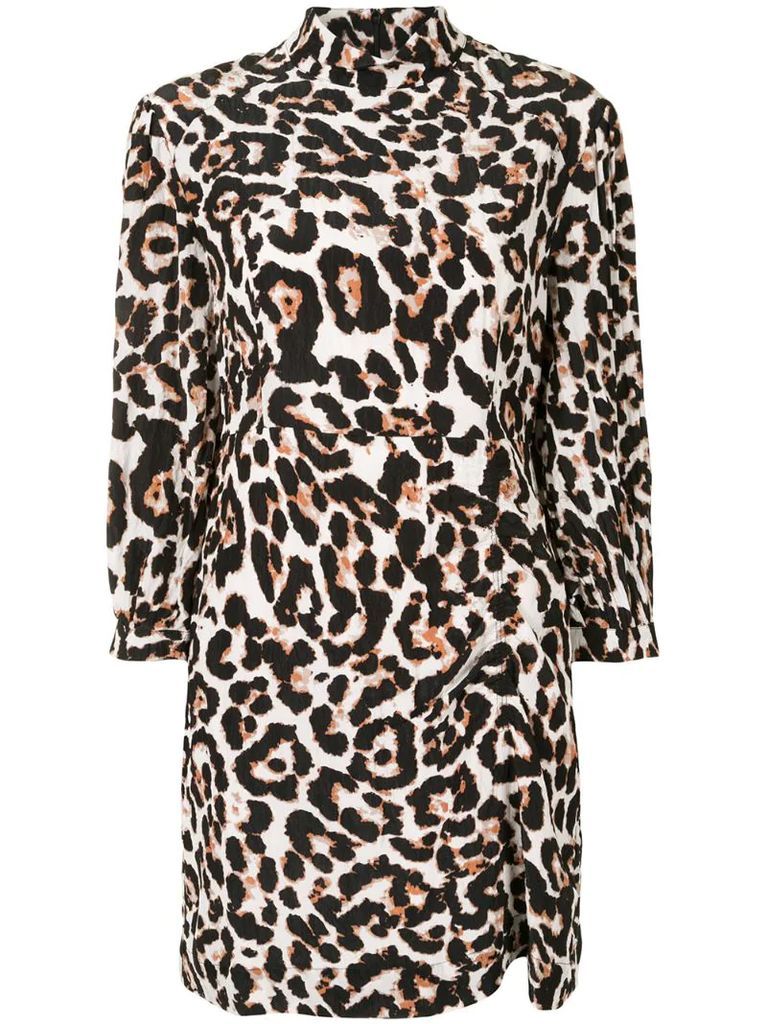 Aaliah leopard print dress